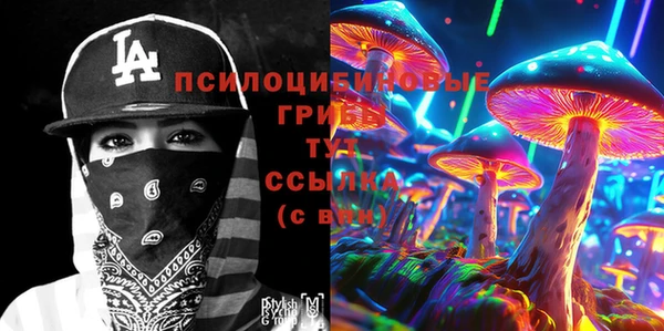 дживик Наволоки